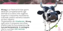 Torna Miveg a Milano: due giorni di festival vegan tra cibo, santuari e attivismo