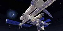 Cosa ci fanno alghe e gamberetti nello spazio? Un piccolo ecosistema in viaggio verso il futuro