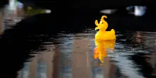 L&rsquo;Italia vince i Mondiali di papere galleggianti battendo Francia e Moldavia: ecco cos&rsquo;&egrave; e come funziona il World Duck Race Championship