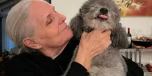 &ldquo;Da quando mia madre &egrave; diventata una star dei social ci siamo conosciute meglio. Chi la segue me l&rsquo;ha fatta vedere con occhi nuovi, l&rsquo;ho capita pi&ugrave; adesso che in tutta la vita&rdquo;: parla Elena Cecchi, figlia e autrice dei reel di Giorgina Siviero