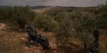 Due italiani detenuti per un giorno in Cisgiordania con l&rsquo;accusa di terrorismo: &ldquo;Io bendato e picchiato dalla polizia israeliana&rdquo;