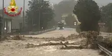 Albero travolge l&rsquo;auto mentre va al lavoro: muore un militare di 46 anni a Jesolo. Oltre 370 interventi dei vigili del fuoco per maltempo