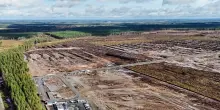Google abbatte 250mila alberi in Finlandia per costruire un data center da 13 miliardi