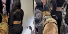 Sareste contenti di salire in aereo e trovarvi accanto un cane di oltre 50 chili? Il video dell&rsquo;influencer con il suo alano da assistenza diventa virale: &ldquo;Come mai non posso accarezzarlo?&rdquo;