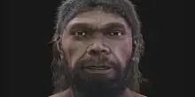 Ha 315.000 anni e &ldquo;passerebbe inosservato tra la folla&rdquo;: ricostruito in 3D il volto dell&rsquo;Homo sapiens pi&ugrave; antico del mondo
