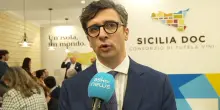Vinitaly, Sicilia Doc: vogliamo avvicinare il vino ai giovani