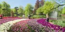 Keukenhof, milioni di tulipani in fiore nel parco simbolo d&rsquo;Olanda