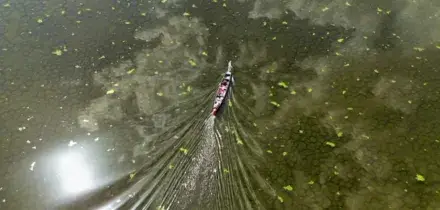 &ldquo;La vita torner&agrave;&rdquo;: le paludi irachene rinascono dopo la siccit&agrave;