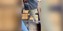 Savona: Carabinieri arrestano camionista con 170 kg di hashish