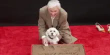 Glenn Close (con cane) alla cerimonia delle impronte a Hollywood