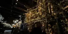 Biennale Arte 2026, Padiglioni dell&rsquo;India e della Catalonia