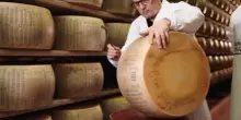 Parmigiano Reggiano a TuttoFood: export I trim +1,8%, focus formazione