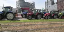 Strasburgo, trattori al Parlamento Ue: la protesta degli agricoltori