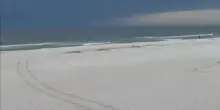 Usa, storie da Gulf State Park tra sentieri premiati e sostenibilit&agrave;