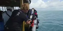 Alle Maldive recuperati i corpi degli ultimi due sub italiani