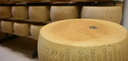 Caseifici Aperti, il Parmigiano accoglie il pubblico