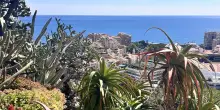 Il giardino dove le piante sfidano le regole
