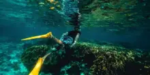 Maldive, indagini sulla tragedia: la GoPro al centro del caso dei cinque sub italiani