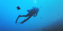 Sub morti alle maldive, rientrate 4 salme su 5 in Italia
