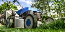 5 idee per rinnovare il tuo giardino