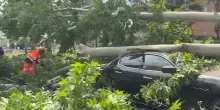 Roma nord-est, tromba d&rsquo;aria a nord-est devasta strade e mercato