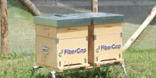 Ambiente, FiberCop mappa il rapporto tra infrastruttura ed ecosistemi