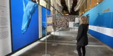 Raccontare l&rsquo;ecosistema della Laguna di Venezia dentro e fuori l&rsquo;acqua