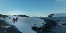 Giornata mondiale degli oceani, il trailer di Antarctica-Domain One