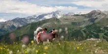 A Madonna di Campiglio l&rsquo;estate prende il via tra natura e sport