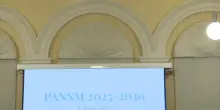 Riflettori accesi sull&rsquo;attuazione del PANSM 2025-2030