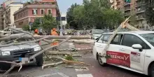Maltempo a Roma, albero su taxi e auto parcheggiate a via Ostiense