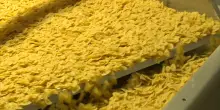 La filiera della pasta: tra ricerca, industria e tecnologia