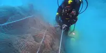 Alle Isole Tremiti recuperati oltre 200 chili di rete a strascico