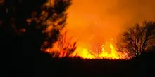 Brucia il Sud della Francia, centinaia i vigili del fuoco mobilitati