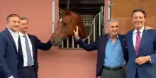 Equitazione, SIR La Farnesina tra centenari e omaggio a campione Bucci
