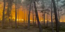 Vasto incendio nella foresta di Fontainebleau alle porte di Parigi