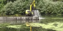 Il fiume Po in sofferenza, invaso dalle alghe e con poca acqua