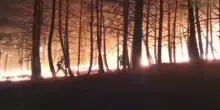Spagna, incendio da 3.400 ettari divora boschi a nord-est di Madrid