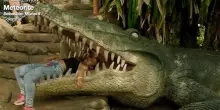 Mostra Venezia, alla SIC 7 film in concorso, dalla Colombia alla Cina