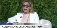 Frijia (FdI): in riforma porti governance investimenti organici