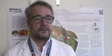 Incendi in Europa, l&rsquo;esperto: forte impatto del cambiamento climatico