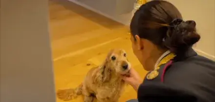 No all&rsquo;abbandono degli animali domestici, nuovo spot della Polizia