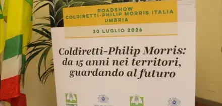 Umbria, la filiera del tabacco guarda al futuro