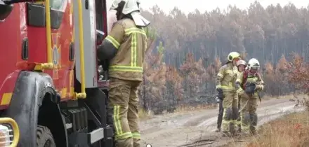 Francia, contro il maxi-incendio in Gironda anche 70 pompieri ucraini