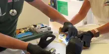 Amo da pesca in bocca, salvata tartaruga al centro soccorso Zoomarine