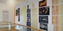 Sotto la pelle di Modigliani alla Pinacoteca Agnelli