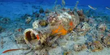 Nei fondali dell&rsquo;Elba spuntano un dolium e i resti di un relitto