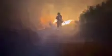 Spagna, incendi boschivi nel Sud: 28.000 ettari bruciati