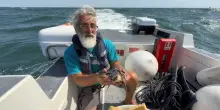 Venezia, liberata in mare una tartaruga soccorsa al Lido