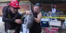 Sisma Colombia, dichiarata &ldquo;l&rsquo;emergenza economica&rdquo;. Si scava ancora
